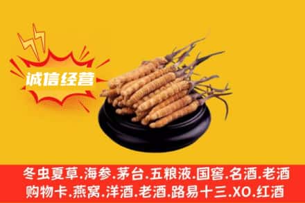 新余市回收冬虫夏草